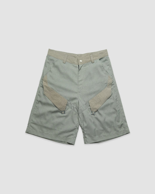 Erudite Shorts